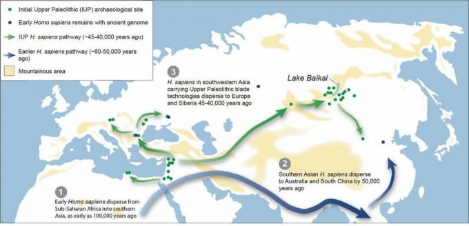 Карта теоретических путей миграции ранних Homo sapiens из Африки через Евразию. КРЕДИТ: Тед Гебель.