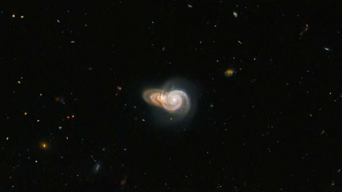 Dvije spiralne galaksije koje se preklapaju (SDSS J115331 i LEDA 2073461).