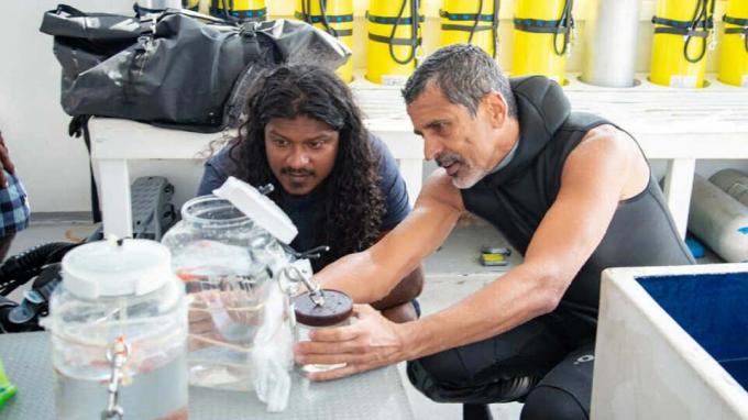 Два исследователя в гидрокостюмах на лодке смотрят на банку с образцами из сумеречной зоны на Мальдивах.