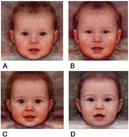 מי הכי חמוד? A ו-C, בעוד B ו-D פחות חמודים, לפי חוקרי אוניברסיטת סנט אנדרוס.